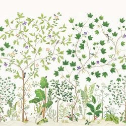 Color – Botanical Green