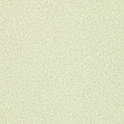 Color – Canvas