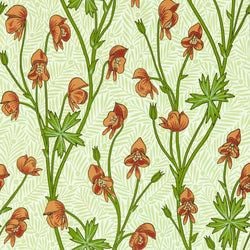 Color – Tangerine/Sage