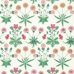 Color – Strawberry Fields