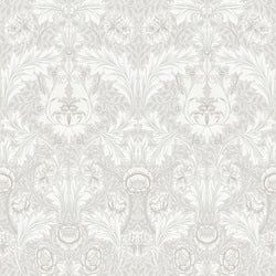 Color – White / Grey