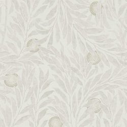 Color – Stone