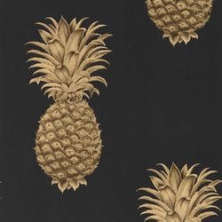 Color – Graphite/Gold