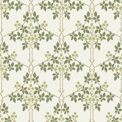 Color – White / Green