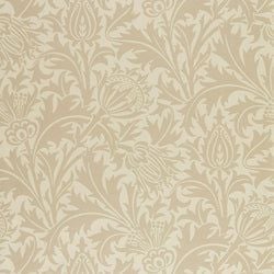 Color – Linen