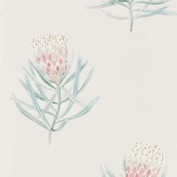 Color – Porcelain/Blush