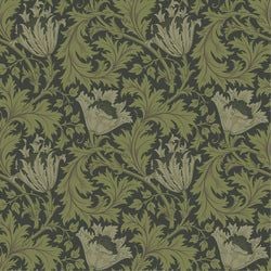 Color – Green Black