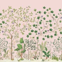 Color – Wild Rose