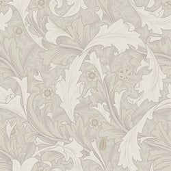 Color – White / Beige