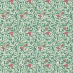 Color – Thyme/Coral