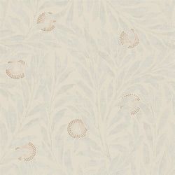 Color – Dove