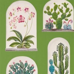 Color – Botanical Green/Multi