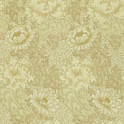 Color – Ivory/Canvas