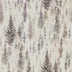 Color – Elder Bark