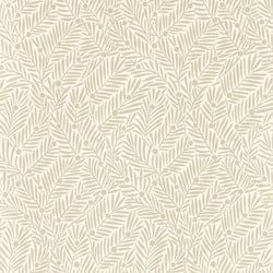 Color – Rice Paper