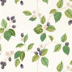 Color – Blackberry