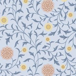 Color – Sky Blue