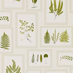 Color – Ivory/Green