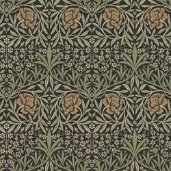 Color – Black / Green