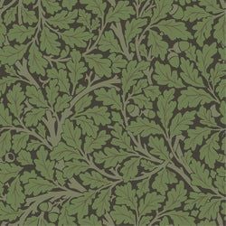 Color – Black / Green