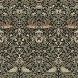 Color – Brown / Green