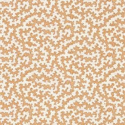 Color – Rowan Berry