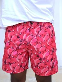 Red Flamingo