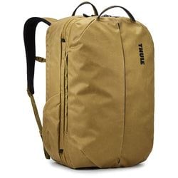 40L – Nutria