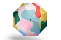Color – The Berkley