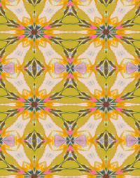 Mango Tango