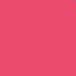 Color – Punch Pink