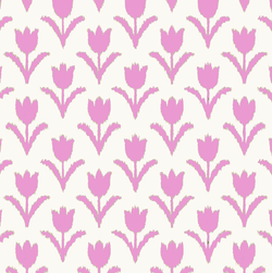 Print – Pink Tulip