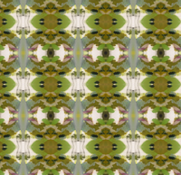 Camo