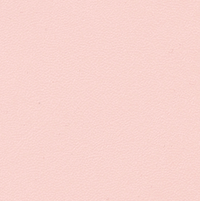 Color – Nude Pink
