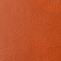 Color – Burnished Tan