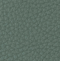 Color – Pebble Green