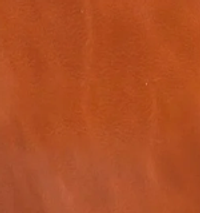 Color – Burnished Tan