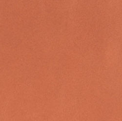 Color – Burnished Tan