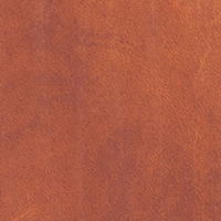Color – Golden Brown