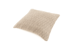 Color – Case Beige