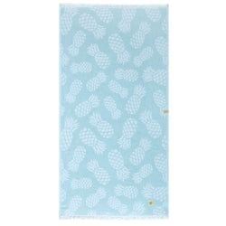 Color – Aqua