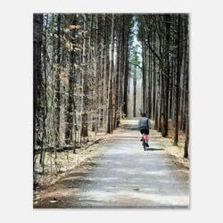 Framing – Canvas