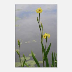 Framing – Canvas