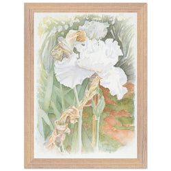 Framing – Framed Print