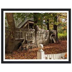 Framed Print