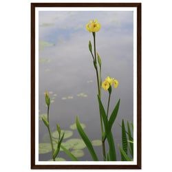 Framing – Framed Print