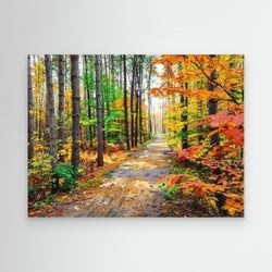 Formats & Framing – Canvas Art