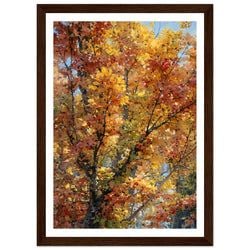 Framing – Framed Print