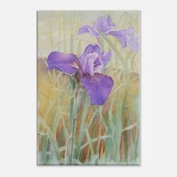 Framing – Canvas