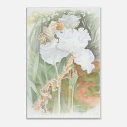 Framing – Canvas